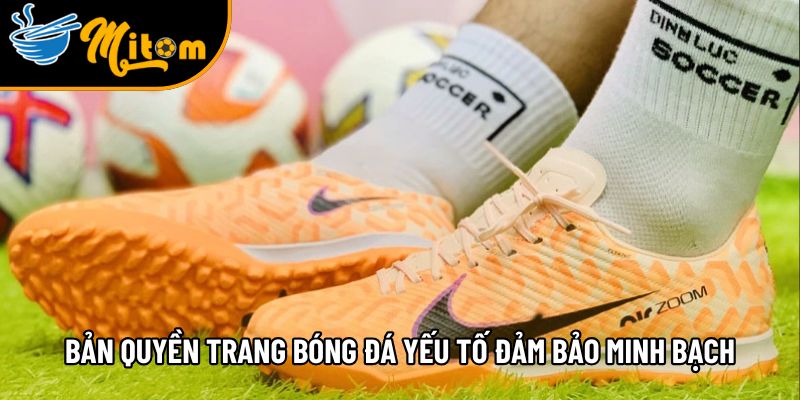 Bản quyền trực tiếp bóng đá hỗ trợ 200+ giải đấu toàn cầu 1 ban quyen trang truc tiep bong da yeu to dam bao minh bach an toan
