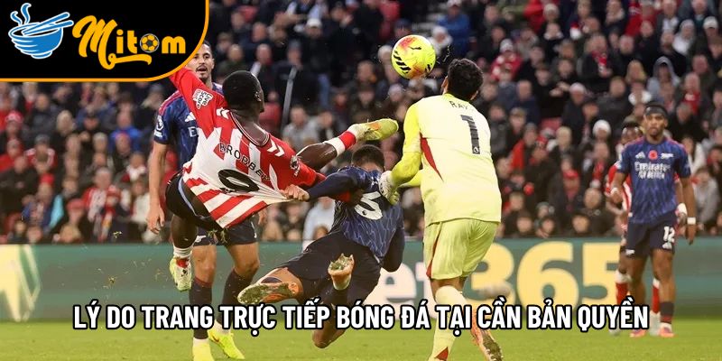 Bản quyền trực tiếp bóng đá hỗ trợ 200+ giải đấu toàn cầu 2 mot so ly do trang truc tiep bong da tai can ban quyen