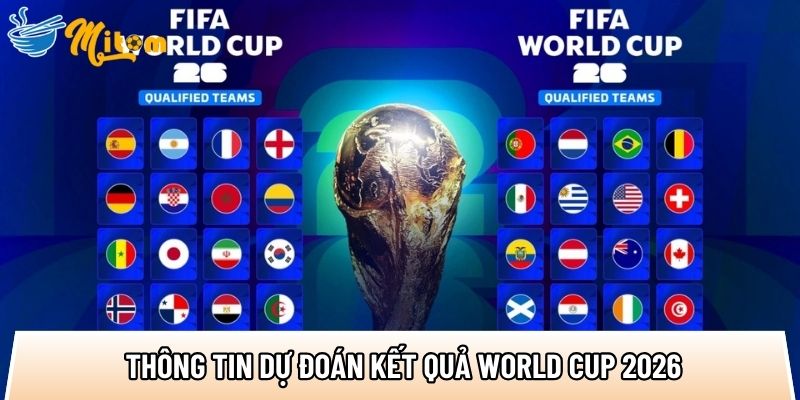 tong hop cac thong tin du doan ket qua world cup 2026
