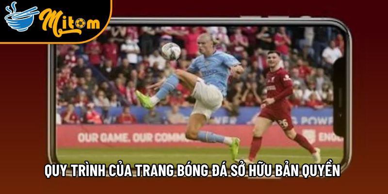 Bản quyền trực tiếp bóng đá hỗ trợ 200+ giải đấu toàn cầu 3 top cac quy trinh cua trang truc tiep bong da so huu ban quyen